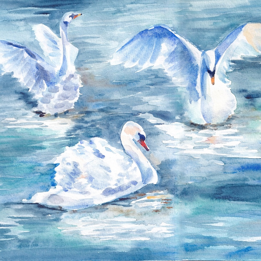 The Swan ⋆ Sanctuary of Brigid